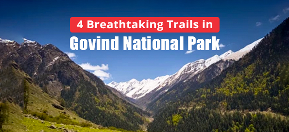 4 Breathtaking Trails in Govind National Park